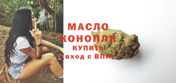 стаф Верея