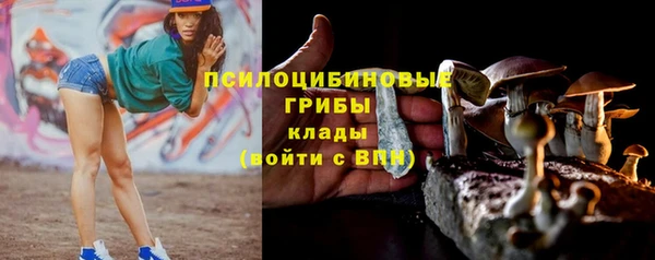 шишки Верхний Тагил