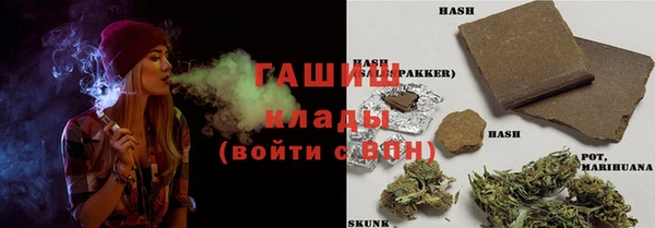 стаф Верея