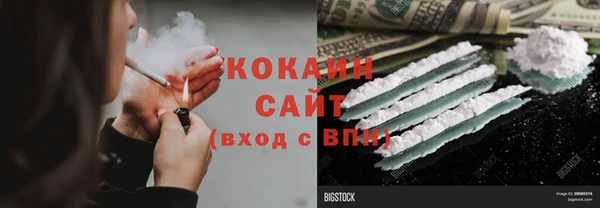 шишки Верхний Тагил