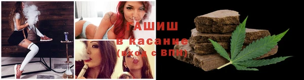стаф Верея