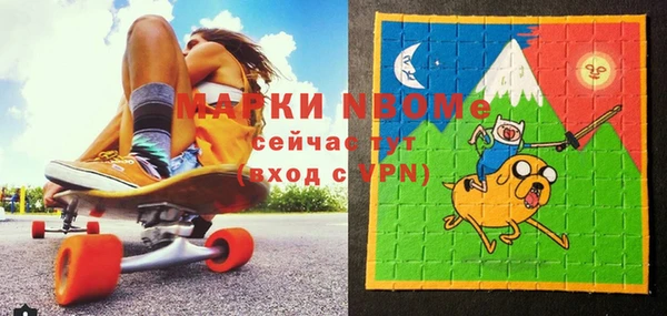 шишки Верхний Тагил