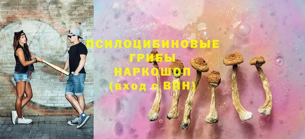 стаф Верея