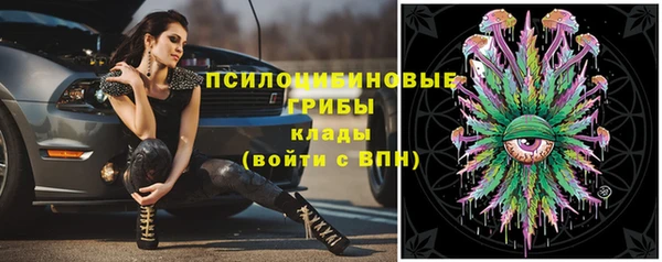 альфа пвп Верхнеуральск