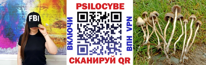 Псилоцибиновые грибы Psilocybe  Каменка 